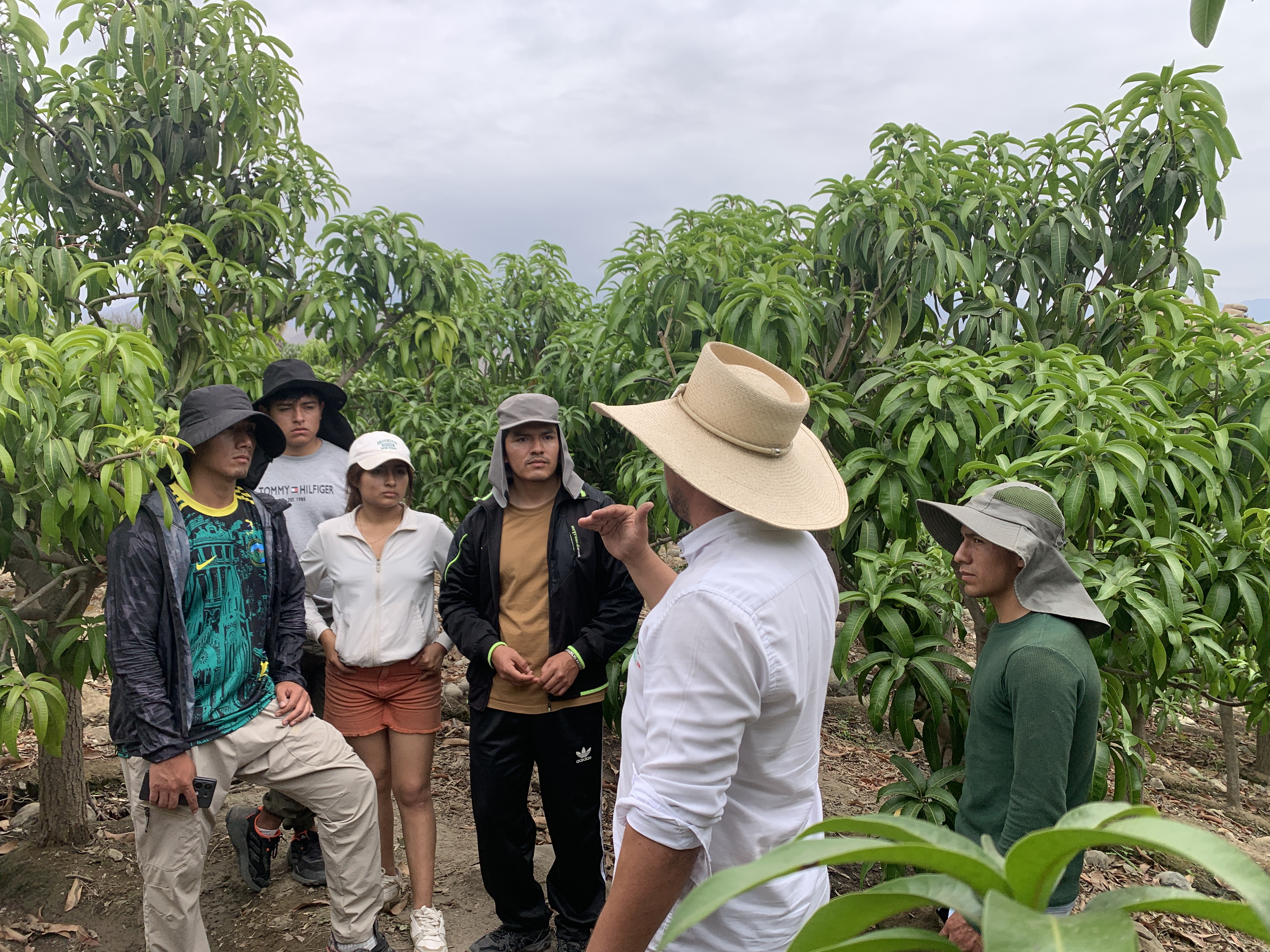 Asesoría Agrícola